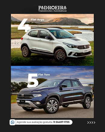 Social Midia da Padroeira Transmissões