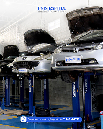 Social Midia da Padroeira Transmissões